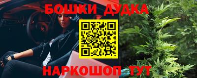 дживик Славгород